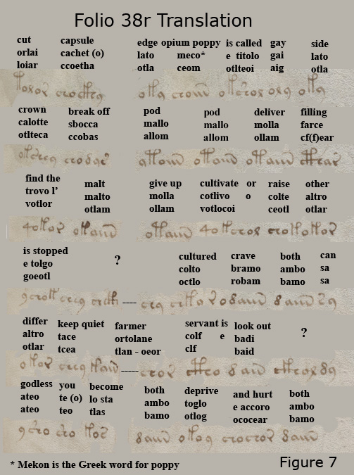 Figure 7 - Folio 38r translation
