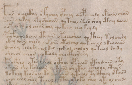 Voynich Manuscript, folio 16r